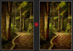 Photo Tip of the Week: The Rule of Thirds